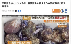 【鹿児島】中国人に盗まれた天然記念物「オカヤドカリ」、約1400匹のうち1100匹を奄美大島に戻される
