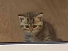 彼女が少し邪魔のなので閉じ込めてみた。ここから出してぇ！ → ガラス戸の向こうでこんな様子です…
