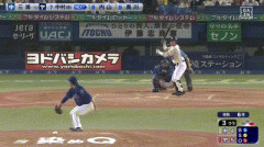 ヤクルト・中村悠平にアクシデント　ファウルした打球が顔面直撃　球場に担架が運ばれ目隠しも　神宮騒然