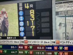 GCは最終オッズ表示しないでいいから電光掲示板を見えるようにしてほしい