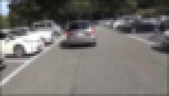 【動画】バイク男性「マジかよ！」 👈これ誰が悪いの