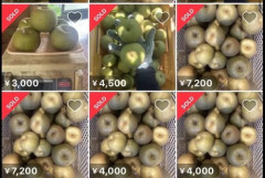 【画像】メルカリで訳あり品“幸水“大量出品中