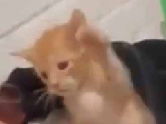 ふたりがケンカを始めた。お母さんは止めないで見ていた → こんな所で暴れています…