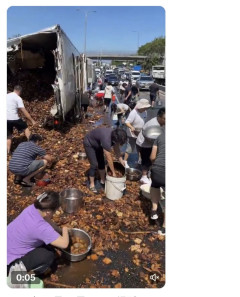 【中国】冷蔵トラックが横転、積荷の「煮込み豚肉」が散乱→もちろん住民によって略奪に遭う