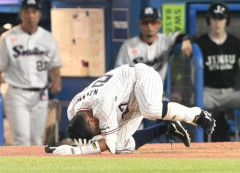 ヤクルト・中村悠平は「右眼球打撲」「右眼窩内側壁骨折」と診断　球団発表　バントの自打球が顔面直撃で救急搬送