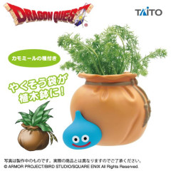 【謎】ファンタジー作品の「やくそう」ってチート過ぎじゃね？ 怪我にアロエ塗るようなもんだろあんなの