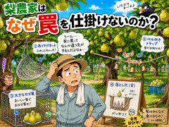 梨農家ってなんでトラップ仕掛けないの？