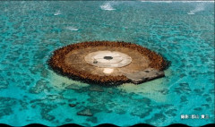 【悲報】中国｢沖ノ鳥島！？こんなのどうみても岩だろ！｣普通の日本人｢、、、、｣