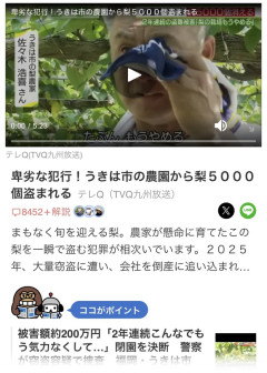 【悲報】梨農家さん、2年連続で盗まれ咽び泣くｗｗｗｗｗｗｗｗｗｗｗｗｗｗｗｗｗｗｗｗ