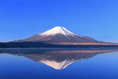 Ⅹ民「富士山の山頂でコーラ買おうと思ったら600円でびっくり。物価高もここまできたか…　高市政権仕事しろ！」
