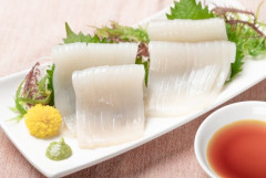 結局一番美味い刺身はイカ