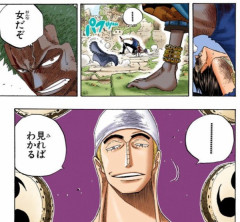 【ワンピース】ゾロ「女だぞ」エネル「見ればわかる」←ここ好きすぎるｗｗｗｗｗｗｗｗｗｗｗｗｗ