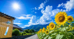 【悲報】夏、クソすぎる