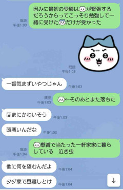ちいかわを知らない友人にちいかわを説明したらド正論で返された話…「的確な説明」「もうちょっとこれが足りない」など