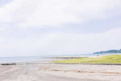 千葉県、クマが出ない代償を負ってしまう