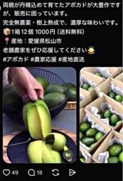 【悲報】SNS「アボカドの販売に困ってます。格安で売ります」→結果ｗｗｗｗ