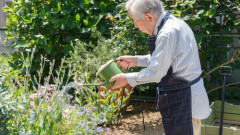 【朗報】高齢男性さん、なぜか家庭菜園にハマってしまう・・・・・・・・・