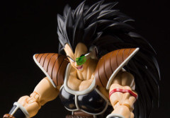 【ドラゴンボール】ラディッツ、主人公の兄なのに特に掘り下げとかない