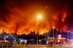 イタリア南部で山火事、複数のネコに火を点けて放し放火…マフィア組織が関与か！