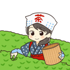 【画像】静岡のお茶摘みJKがエチエチすぎるｗｗｗｗ
