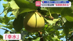 へずまりゅう「梨農家を救いたい」梨農家「お断りします」　→　明美「梨農家を救いたい」梨農家「ありがとう」