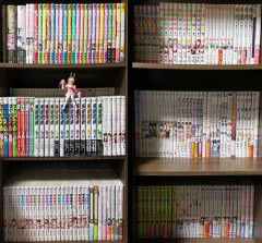 【画像】女子「彼氏の部屋に行ったらこんな本棚が布で隠されてた。その日のうちに別れました笑」