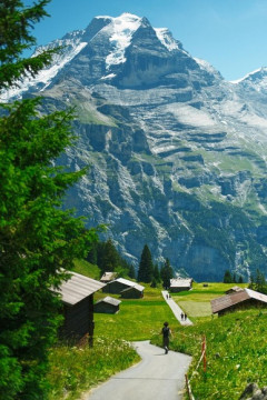 【登山】夏場のグローブって手の保護が目的？