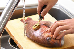 【悲報】ワイ「魚捌くのどうやるんやろｗ」プロ「まずはウロコを取りますｗ」