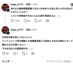 【悲報】杉本彩さん、日本の愛犬・愛猫家から理不尽に叩かれる