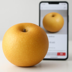 「盗まれた梨」がメルカリで転売されている？ SNSで「憶測」拡散…出品者は反論、運営会社の見解は   |  メルカリはとりあえずマイナンバー必須に移行しないといかんよ