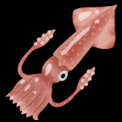 イカが高級魚になってしまったという事実