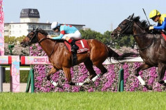 🏇JRAさん、お金欲しいから海外馬券対象レースを大幅追加ｗｗｗｗｗ