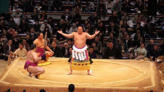 【悲報】横綱さん二人が揃って六敗ｗｗｗｗｗｗｗｗｗｗ