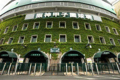 【悲報】甲子園、『完全終了』のお知らせ・・・・
