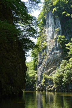 岩手の観光・グルメに詳しい人いる？