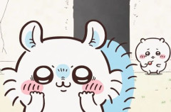 ちいかわ初見勢、映画『ちいかわ』のモモンガが想像以上にクズ過ぎて困惑！「なんでこいつ人気なの？」　→　モモンガファンの解説がこちら
