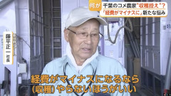 【悲報】コメ農家、ついにキレた！価格下落なら「収穫しない方がいい」