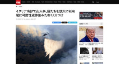 イタリアンマフィア、土地取得のために猫に火をつけ山火事を起こしていたと判明