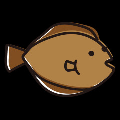 【画像】これはヒラメ？それともカレイ？ｗｗｗｗｗｗｗｗｗｗｗｗｗｗｗｗ