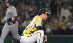 昨日、甲子園で巨人戦観てたけどいまだに怒りが収まらない