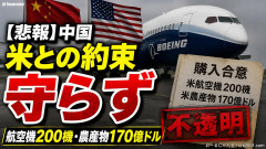 【悲報】中国、5月に米中首脳会談での目玉「米航空機200機の航空機を購入、米国農産物170億ドル相当の購入」の約束守らずｗｗｗ