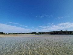 なんでお前ら海行かないの？