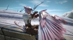 【FF14】白銀の新DPSレンジ、鳥を使役するジョブ説が浮上。白銀トレーラーのミコッテやとあるSEからヒカセンたちが予想