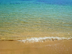 日本人、年々海水浴に行かなくなっていた