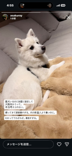 【画像】小林誠司の彼女の匂わせｗｗｗｗｗｗｗｗｗｗｗ