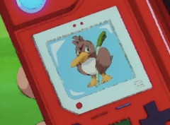 カントーに自然に生息してなくて他の地方に普通に野生にいるカモネギやルージュラをカントーポケモン扱いするの