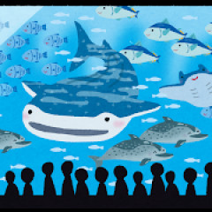 女「水族館で好きな生き物なに？」お前らはなんて答える？