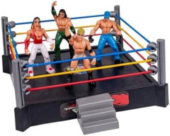 【悲報】プロレスラーさん、ろくな老後を送ってない・・・・・・・・・