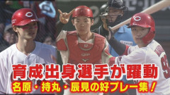 カープ辰見450万、持丸550万、名原600万←年俸が2倍以上UPするのが確実な成長株
