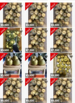 【悲報】メルカリの梨、めちゃくちゃ同じ人間が買っていた😨